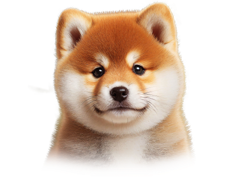 Mame Inu Profile